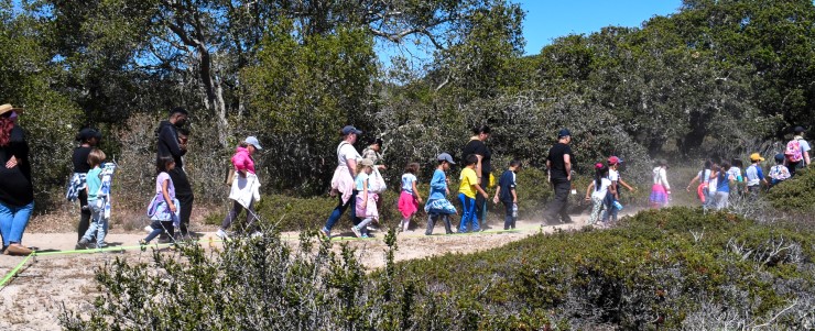 parents, teachers, and pre-k through 1st grade stucents from Marina, CA hike at the UCSC Fort Ord Natural Reserve